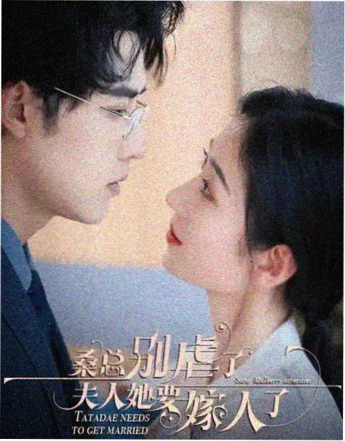 译制片考据档专栏封面